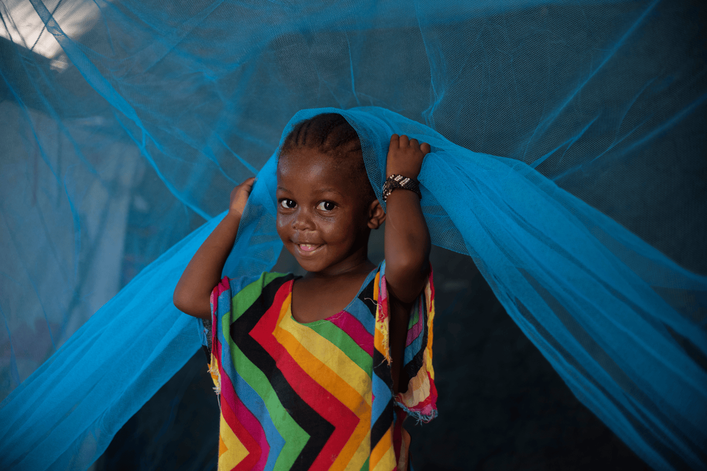 Mosquito Net